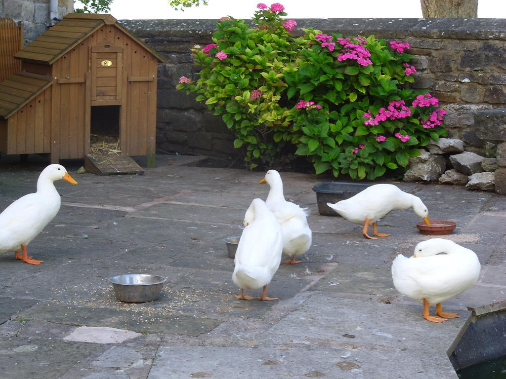 Tithe Barn Bed And Breakfast Carnforth Dış mekan fotoğraf